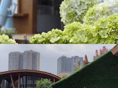 -首开·龙湖成都西宸天街