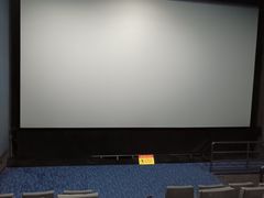 -幸福蓝海国际影城(河西店)