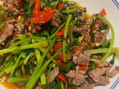 -壹盏灯(惠农店)