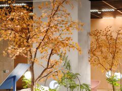 -帕帕拉兹宠物(亚洲旗舰店)