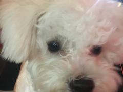 -嘉善路(地铁站)