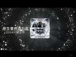 -雅曼妮spa美容养生