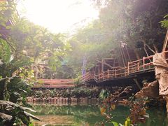 -海南槟榔谷黎苗文化旅游区