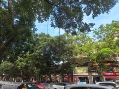 -北园酒家(小北路店)