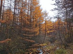 -秦岭风景区
