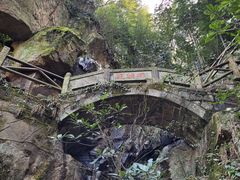 -莫干山风景区