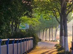 -龙头寺公园