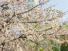 -西北湖绿化广场