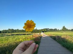 -汉长安城未央宫国家考古遗址公园