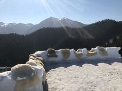 门面-丝绸之路山地度假区滑雪场