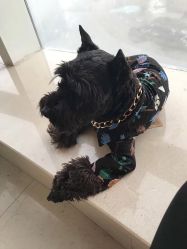 -Hello Lady发型设计