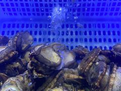-鲁商铂尔曼大酒店·铂丽自助餐厅