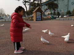 -泉城欧乐堡海洋极地世界