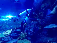 -华夏文旅海洋公园