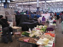 -重振华中蔬菜批发市场(重庆中路店)