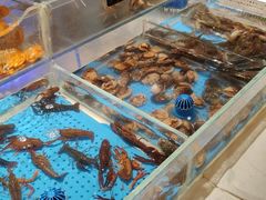 -加餐海鲜自助(集美银泰百货店)