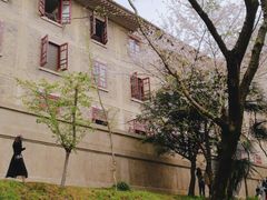 -武汉大学-樱园