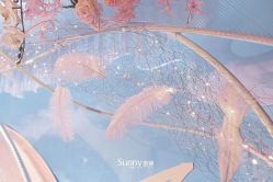-Sunny喜铺婚礼策划(东部店)