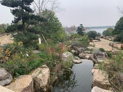 -桐乡凤凰湖