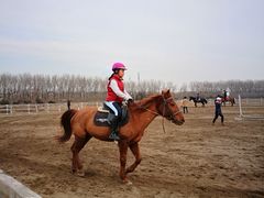 -月河湾马术俱乐部(朝阳店)