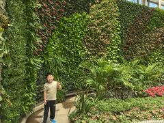-石家庄市植物园