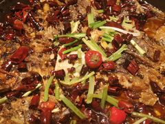 -老板恋上鱼(印象城店)