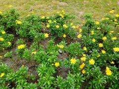 -成都濑川外国语学校