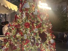 -深圳湾万象城(南山店)