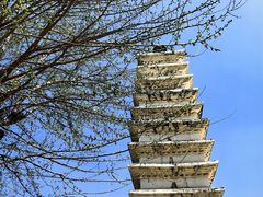 -巍山古城