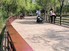-绿堤公园