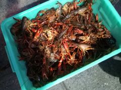 -老谭虾王蟹皇·龙虾·烧烤(蝴蝶湾店)