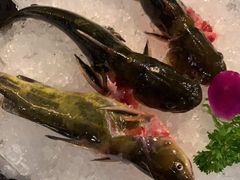 -五星桥原切肥牛火锅·30年专注好牛肉(湖塘店)