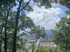 -板樟山森林公园