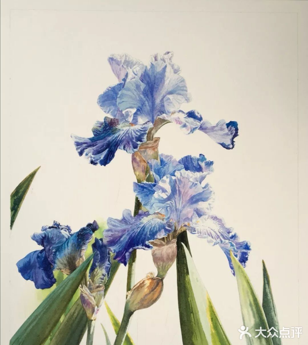 水彩画家付愈水彩静物[礼花][礼花]