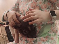 -藦茜花园宠物主题亲子互动体验馆(国顺东路店)