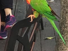 -可伦宾野生动物保护区