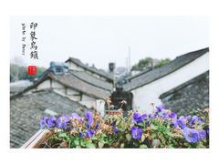 -乌镇东栅景区