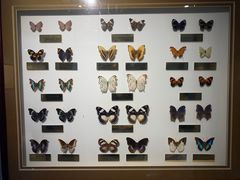 -上海昆虫博物馆