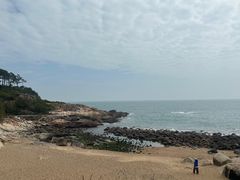 -广东惠东海龟国家级自然保护区