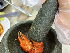 -新峰肉骨茶