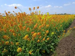 -中国天府农业博览园