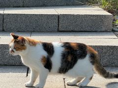 -北京凤凰岭