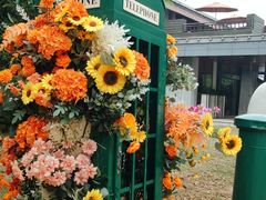 -金鸡湖桃花岛