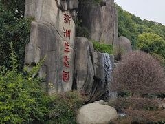 -新洲生态园