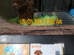 -宠物世家(仲盛世界商城店)