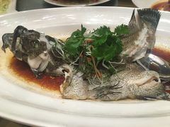 -酌宴府The China Club·广州万富希尔顿酒店(云城东路店)
