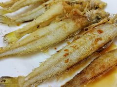 -蛇口康乐快餐鱼仔档(翠苑小区店)