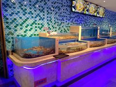 水产区-乔哥铭洋海鲜自助(皇城恒隆广场店)