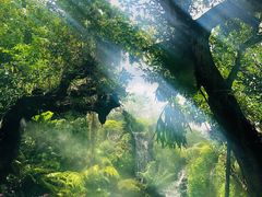 -Chom Cafe and Restaurant