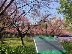 -白塘生态植物园